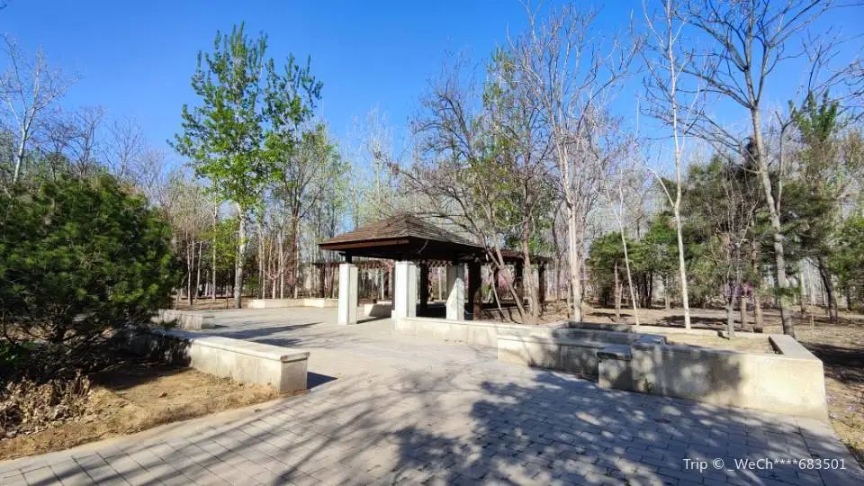 1_Banbidian Forest Park