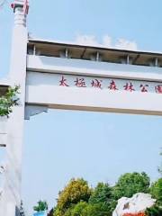 旬陽市太極城森林公園