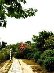 Beixizhou Forest Park, Lianhua Town