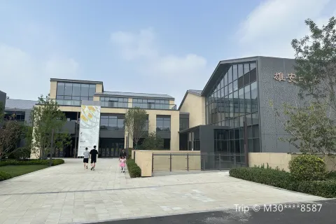 Xiong'an Impression