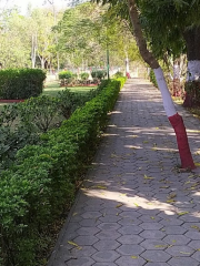 Nehru Stadium Garden