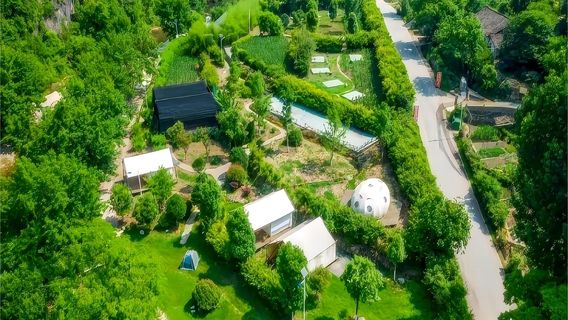 qing ping le lu ying di