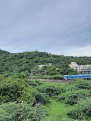 Pallavaram Forest