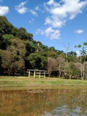 Botanical Garden UFJF