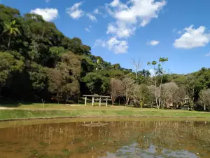 Botanical Garden UFJF