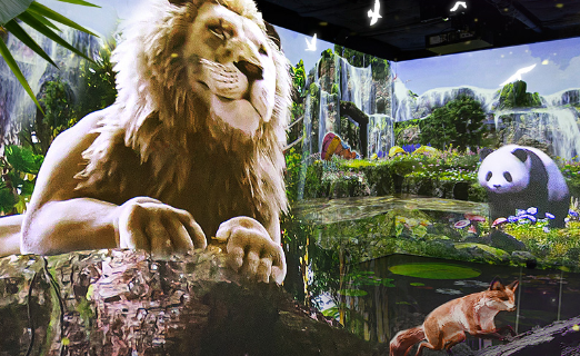 Magic Flow Wonder Park