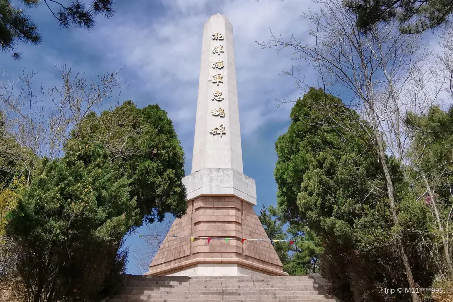 Beiyang Haijun Zhonghunbei