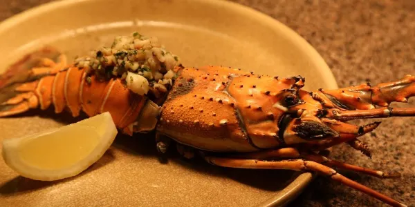 Top 11 Fine Dining in New Delhi