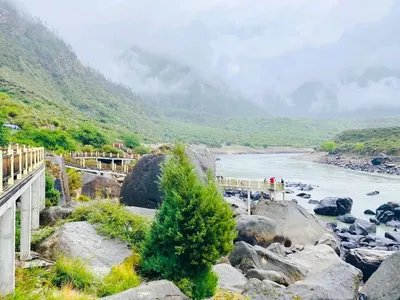 Wolong Stone