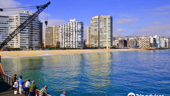 Viña del Mar