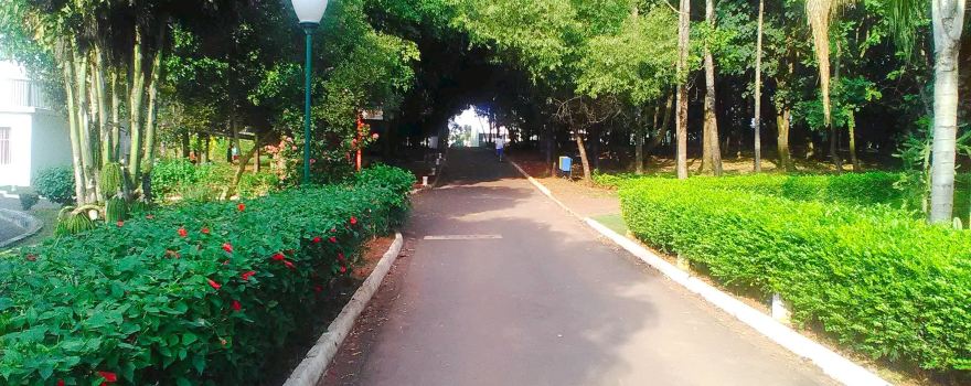 Jardim Botanico De Americana