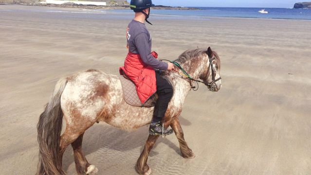Carmen's Riding School