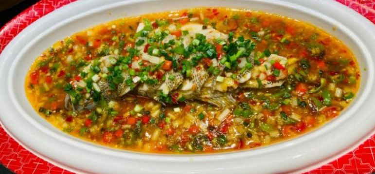 Welcome Suica&JR Line One Day Pass (Pick up at Haneda Airport)