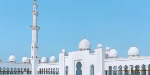 謝赫扎耶德大清真寺