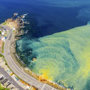 陰陽海
