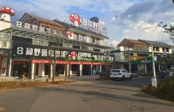 八種野菌（南華國際野生菌交易中心店）