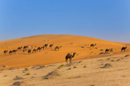 Al Dhafra