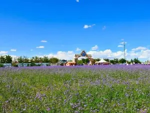 Tonghu Grassland Tourist Areas