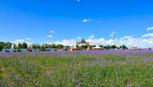 Tonghu Grassland Tourist Areas