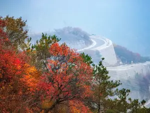 앙천산 국가산림공원