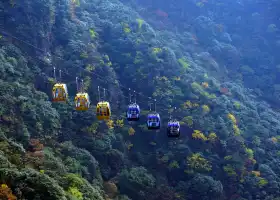 金頂索道