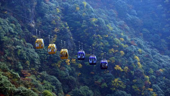 Golden Peak Cableway
