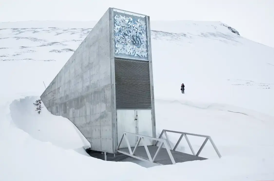 Hotels near Svalbard Global Seed Vault