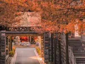 衢州の紅葉の名所・トップ20