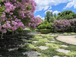 Popular Spring Outings in Pokolbin
