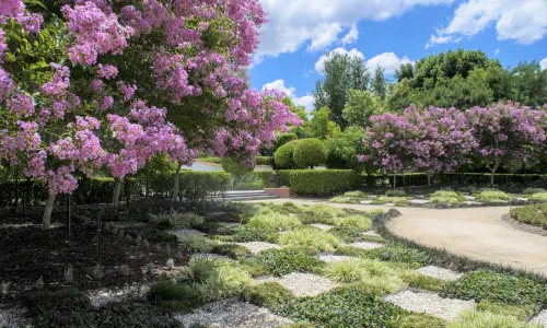 Hunter Valley Gardens