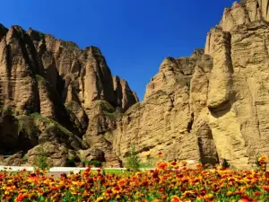 Yellow River Stone Forest National Geological Park