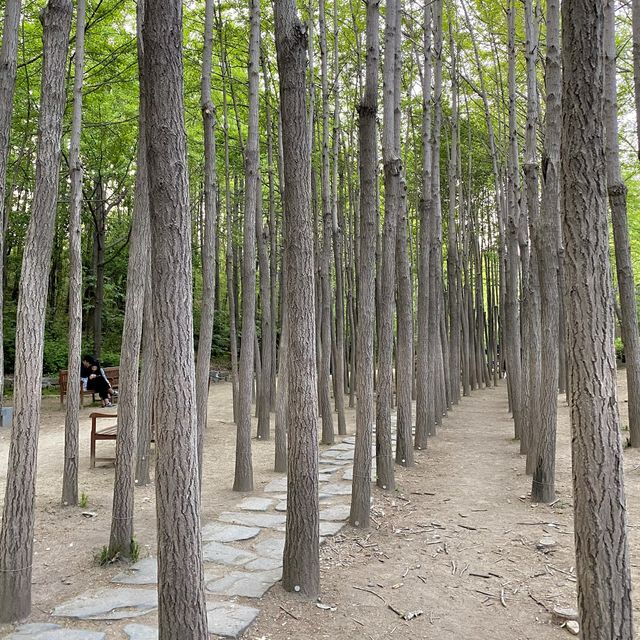 서울숲, 도심 속에서 여유롭게 힐링