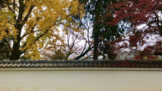 京都的醍醐寺是世界文化遗产。醍醐寺的樱花和红枫十分有名。醍醐
