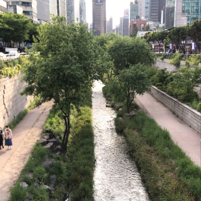 청계천부터 시작하는 산책코스 추천! 