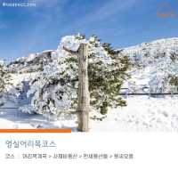 [초보도 가능한  한라산 등산코스]