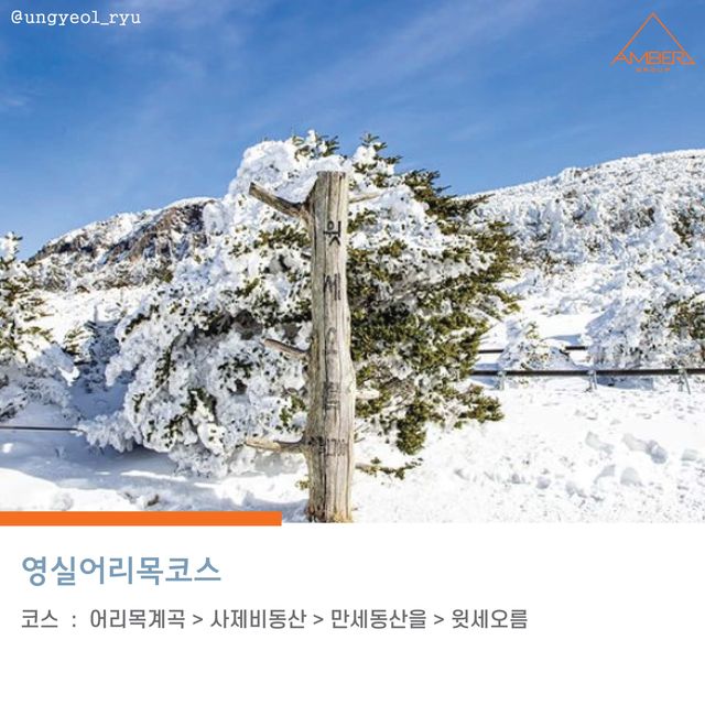 [초보도 가능한  한라산 등산코스]