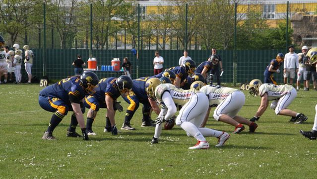 Dresden Monarchs e.V.