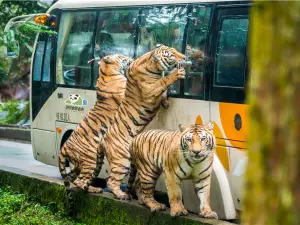碧峰峡野生動物世界