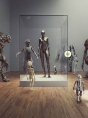 Museum of Aliens