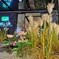 湖上人家(竹竿巷店) User Photo