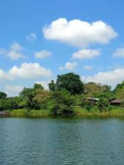 Upper Seletar Reservoir Park