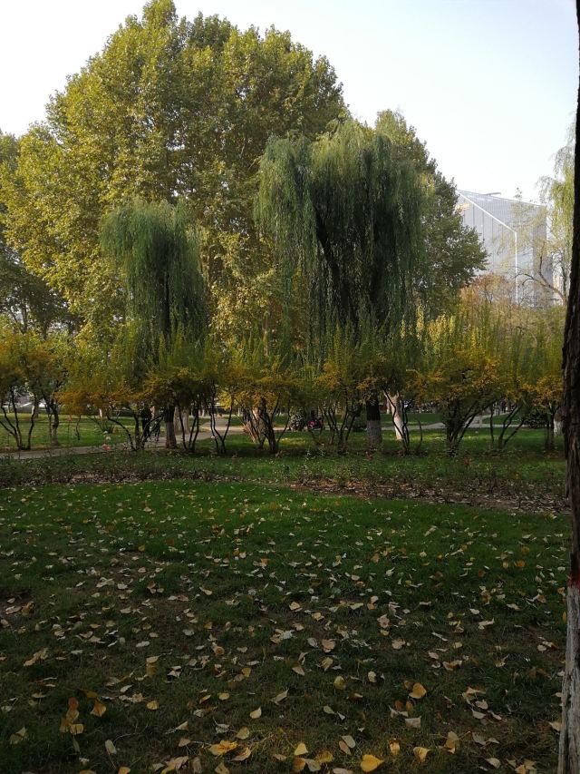 Yuannan Park