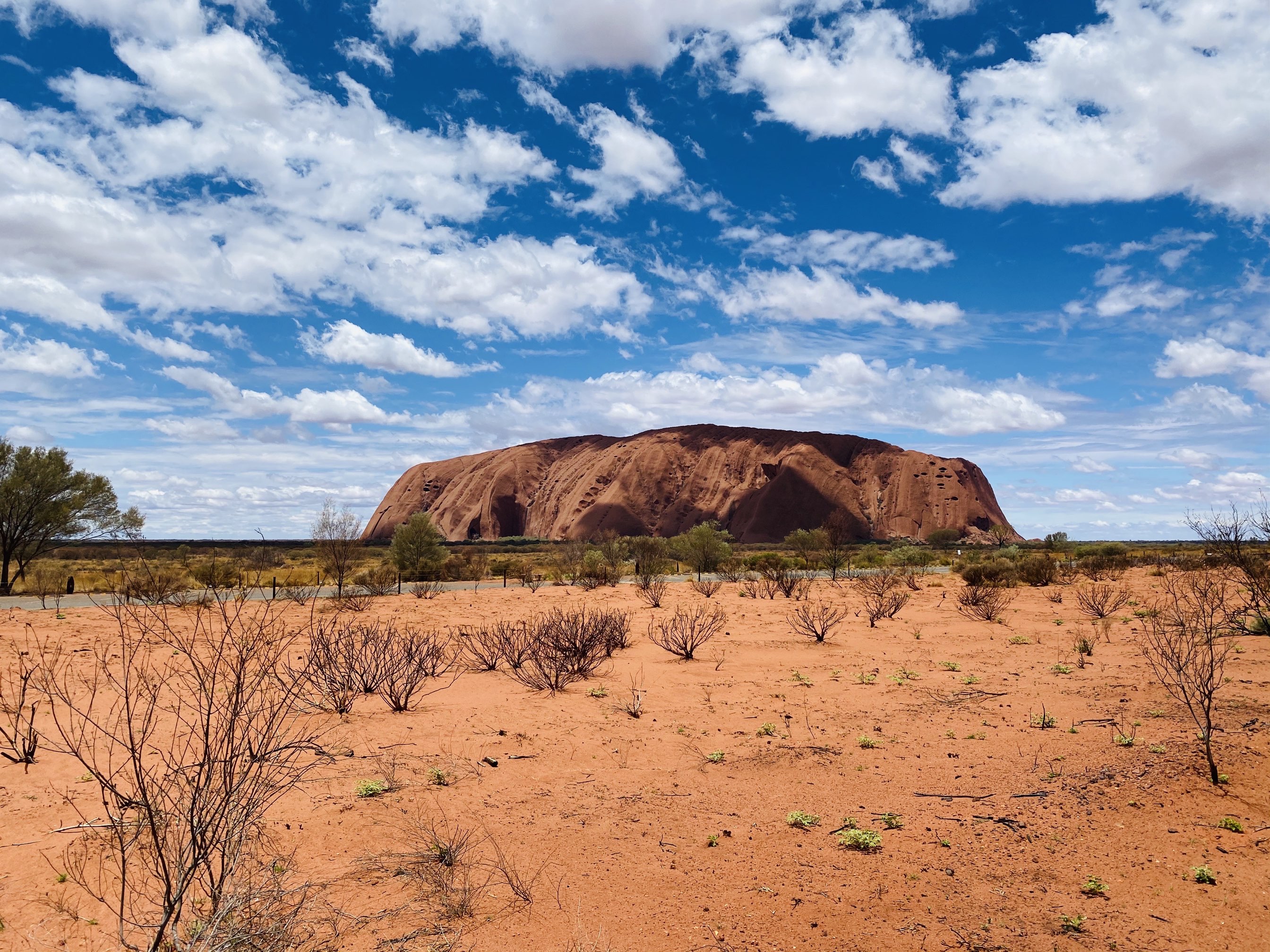 ウルル カタ ジュタ国立公園のレビュー ウルル カタ ジュタ国立公園のチケット ウルル カタ ジュタ国立公園の割引 ウルル カタ ジュタ国立公園の交通機関 所在地 営業時間 ウルル カタ ジュタ国立公園周辺の観光スポット ホテル グルメ Trip Com