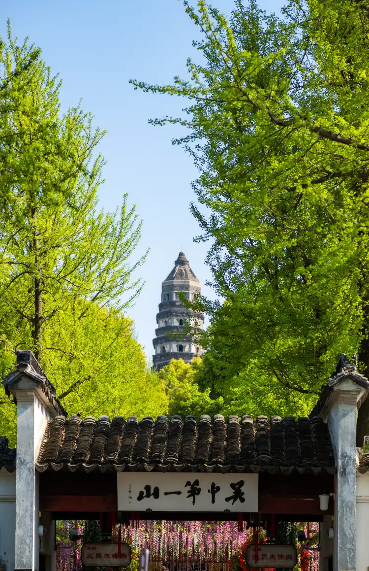 Hotels near Tiger Hill Tower