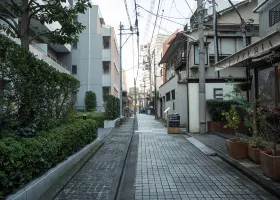 台東池上日暉國際渡假村交通