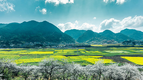 Quý Định