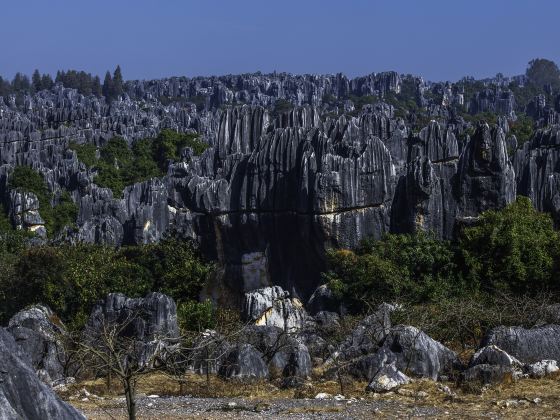 歩哨山景区