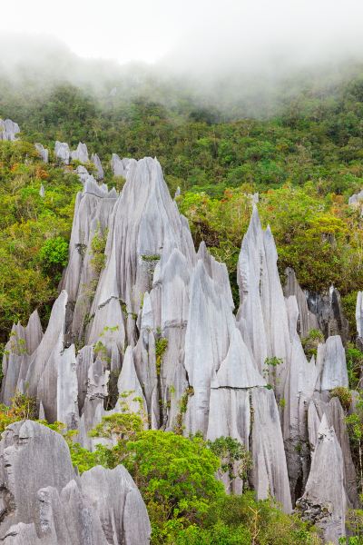 Lyon to Marudi Flights