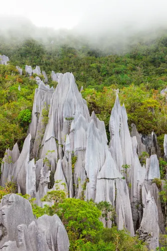 Pinnacles