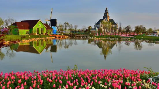 네덜란드 꽃의 바다